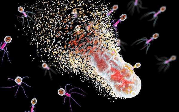危险的“超级细菌”正在崛起什么能阻止他们?